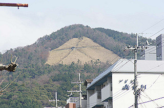 dsc07125_thumb.jpg
