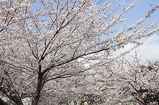 dsc07126_thumb.jpg