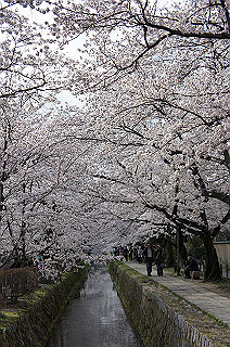 dsc07154_thumb.jpg