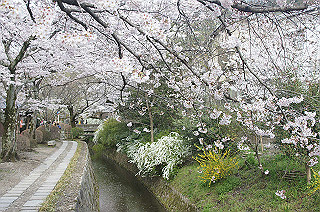 dsc07176_thumb.jpg