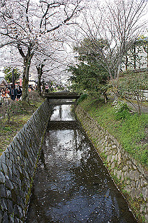 dsc07177_thumb.jpg