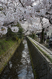 dsc07178_thumb.jpg