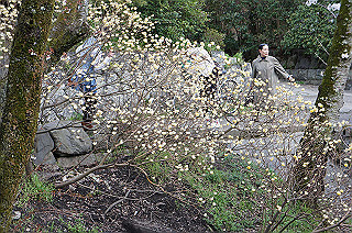 dsc07188_thumb.jpg