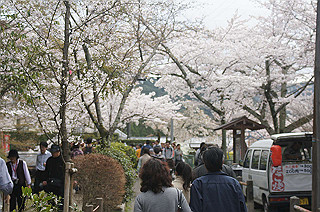 dsc07200_thumb.jpg