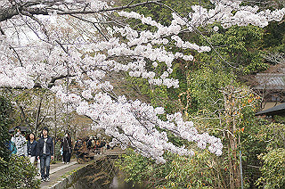 dsc07201_thumb.jpg