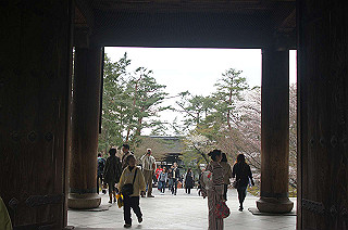 dsc07208_thumb.jpg