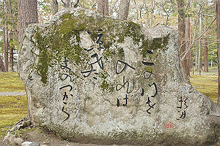 dsc07212_thumb.jpg