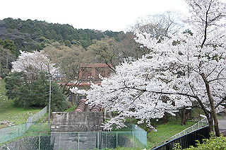 dsc07243_thumb.jpg