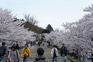 dsc07244_thumb.jpg