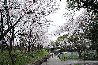 dsc07250_thumb.jpg