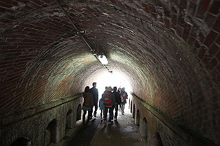 dsc07252_thumb.jpg