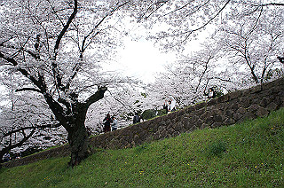dsc07253_thumb.jpg
