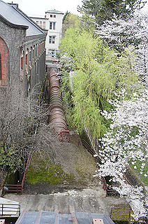 dsc07257_thumb.jpg