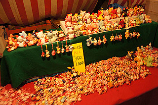 dsc07308_thumb.jpg