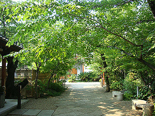 dsc06632_thumb.jpg
