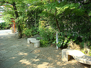 dsc06633_thumb.jpg