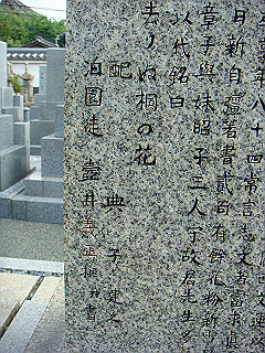 dsc06646_thumb.jpg