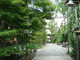dsc06652_thumb.jpg