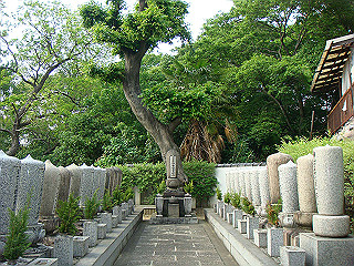 dsc06664_thumb.jpg