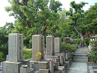 dsc06675_thumb.jpg