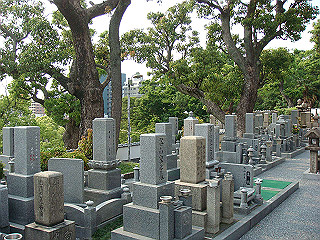 dsc06678_thumb.jpg