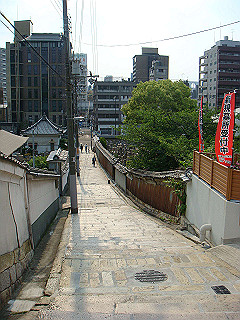 dsc06684_thumb.jpg