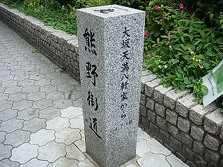 dsc06689_thumb.jpg