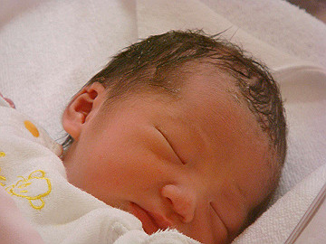 dsc06744_thumb.jpg
