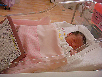 dsc06746_thumb.jpg