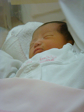 dsc06750_thumb.jpg
