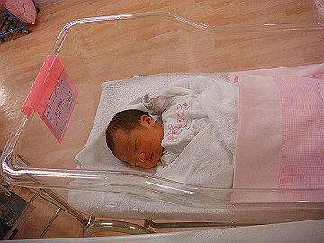 dsc06790_thumb.jpg