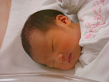 dsc06791_thumb.jpg
