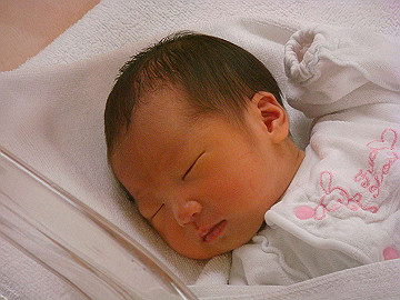 dsc06792_thumb.jpg