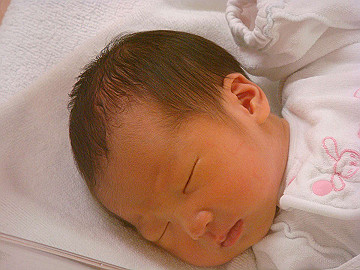 dsc06795_thumb.jpg