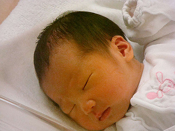 dsc06797_thumb.jpg