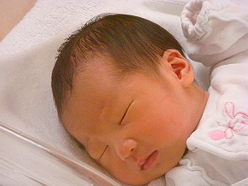 dsc06798_thumb.jpg