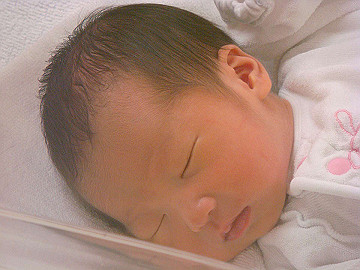 dsc06805_thumb.jpg