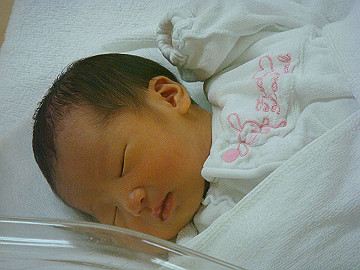 dsc06809_thumb.jpg