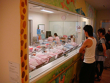 dsc06813_thumb.jpg