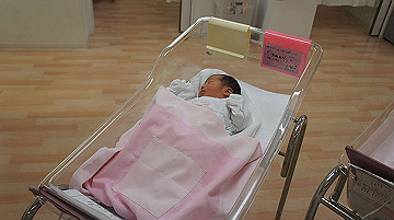 dsc07711_thumb.jpg