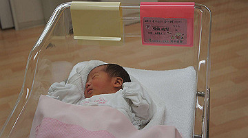 dsc07712_thumb.jpg