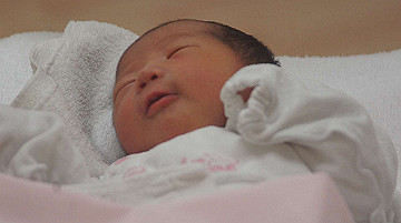 dsc07717_thumb.jpg