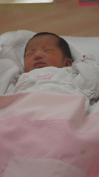dsc07728_thumb.jpg