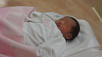 dsc07747_thumb.jpg