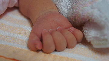 dsc07790_thumb.jpg