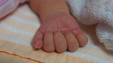dsc07791_thumb.jpg