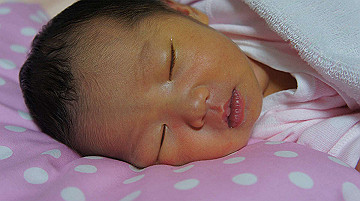 dsc07792_thumb.jpg