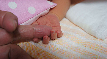 dsc07795_thumb.jpg