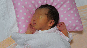 dsc07797_thumb.jpg