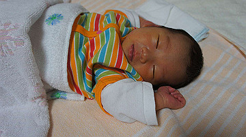 dsc07803_thumb.jpg